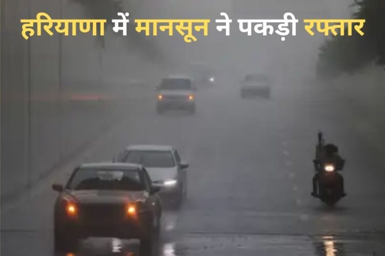 Haryana Weather Update