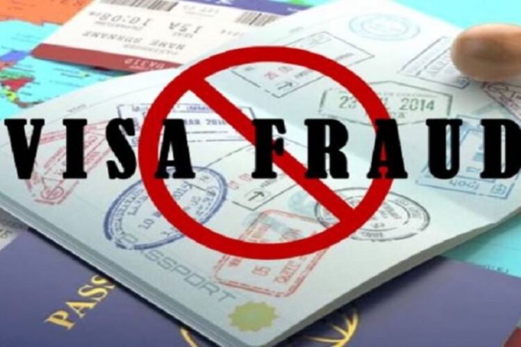 Visa Fraud News