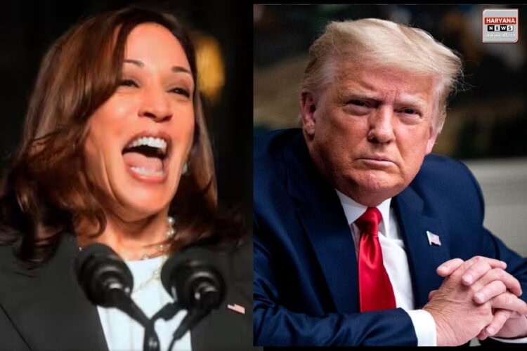 Donald Trump vs Kamala Harris