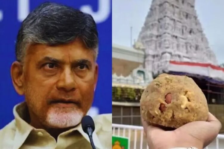 Tirupati Laddu Controversy