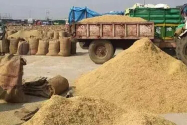 Till now Rs 8931 crore has been paid to farmers for the purchase of paddy and millet