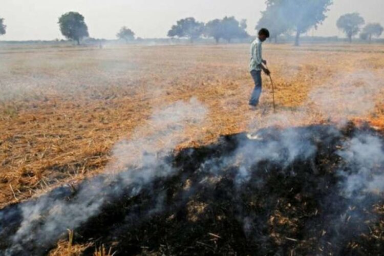 Haryana Stubble Burning