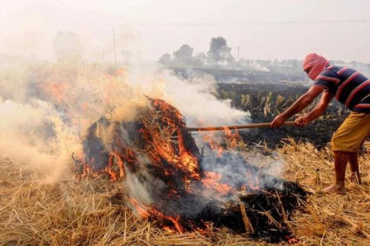 Stubble Burning