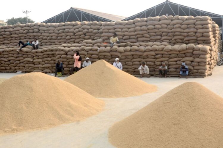 Procurement of Paddy will be stop from 15th November