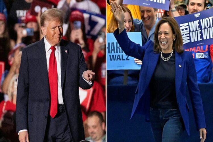 US Presidential Election 2024 Donald Trump vs Kamala Harris