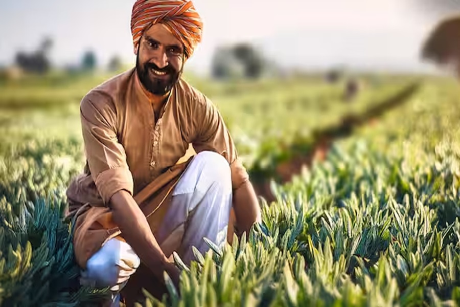 Haryana Farmers