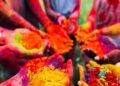 भारत में होली की धूम… रंगों के पर्व पर मस्ती में डूबा देश, राष्ट्रपति मुर्मू और PM मोदी ने दी शुभकामनाएं