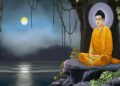 बुद्ध पूर्णिमा विशेष: महात्मा बुद्ध दया – करुणा और मानवता के पक्षधर